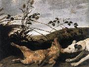 SNYDERS, Frans Greyhound Catching a Young Wild Boar wr oil on canvas